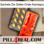 Sachets De Gelée Orale Kamagra new01
